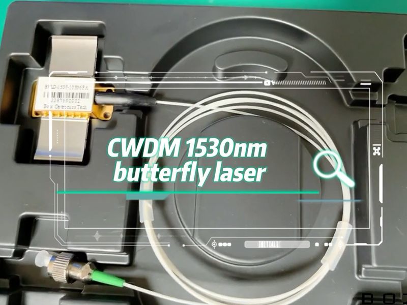 CWDM 1530nm バタフライレーザー